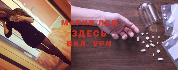 спайс Нея