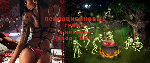 спайс Нея