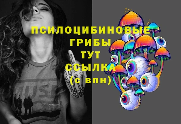 первитин Новозыбков