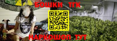 бошки Гай