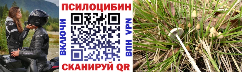Псилоцибиновые грибы Cubensis Алушта