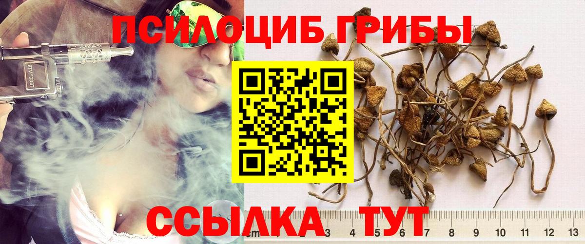 Псилоцибиновые грибы мухоморы  Галлюциногенные грибы Psilocybine cubensis  Алушта 