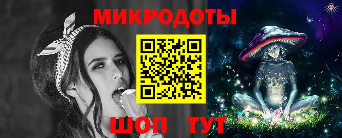Псилоцибиновые грибы Psilocybe Алушта